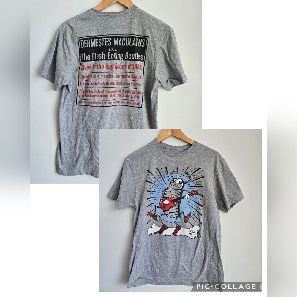 Gray Graphic Unisex T-Shirt Size Large